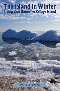 The Island in Winter